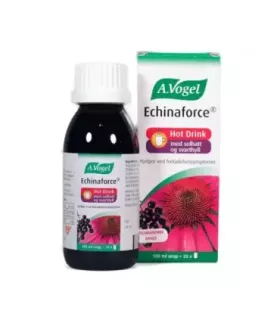 Imagen de Echinacea purpurea y bayas de saúco
