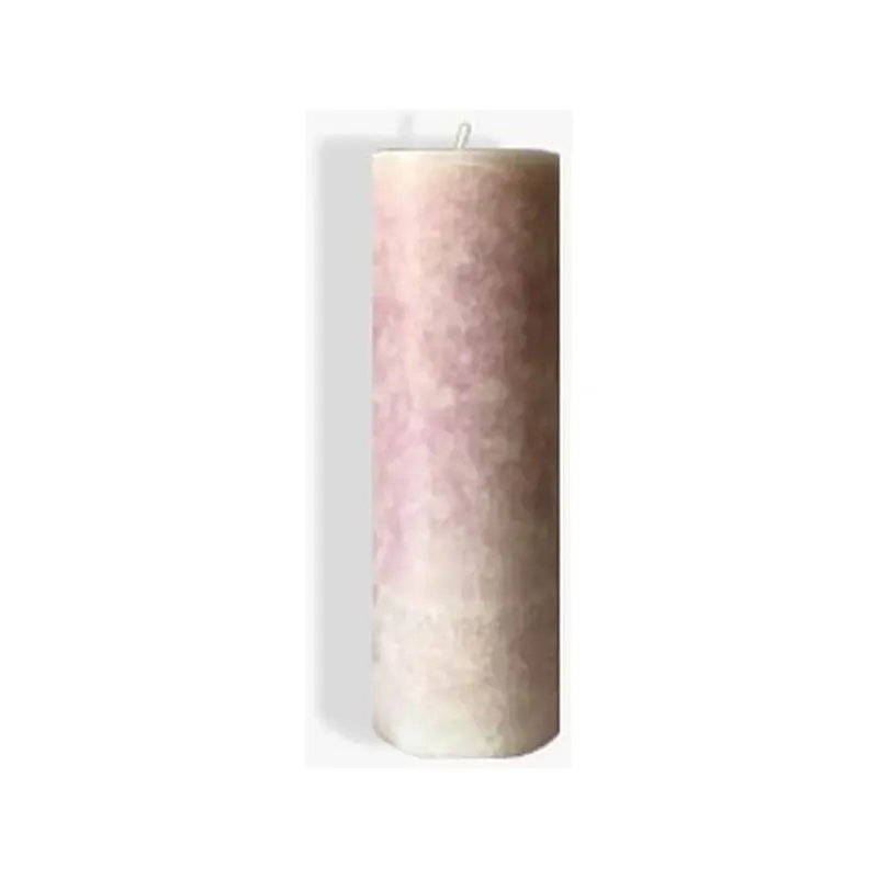 LECITINA DE SOJA 500G