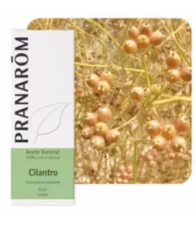 Imagen de hojas de cilantro