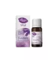 ACEITE ESENCIAL DE EUCALIPTO BIO, 1
