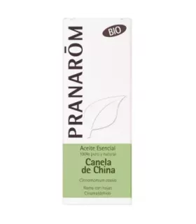 Rama con hojas de canela