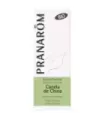 CANELA DE CHINA BIO 10ML ACEITES ESENCIALES