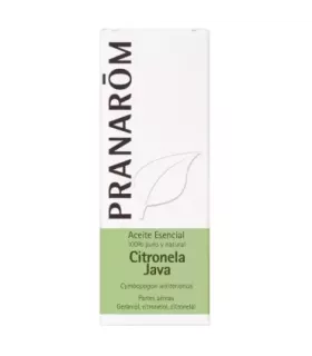 Imagen de citronela de Java