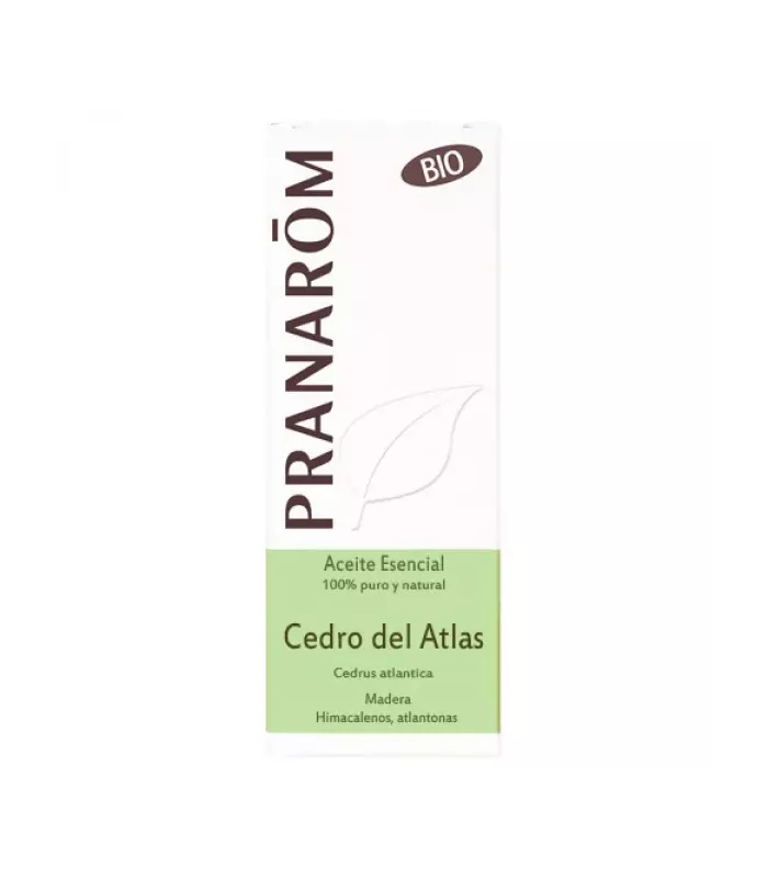 Imagen de cedro del Atlas