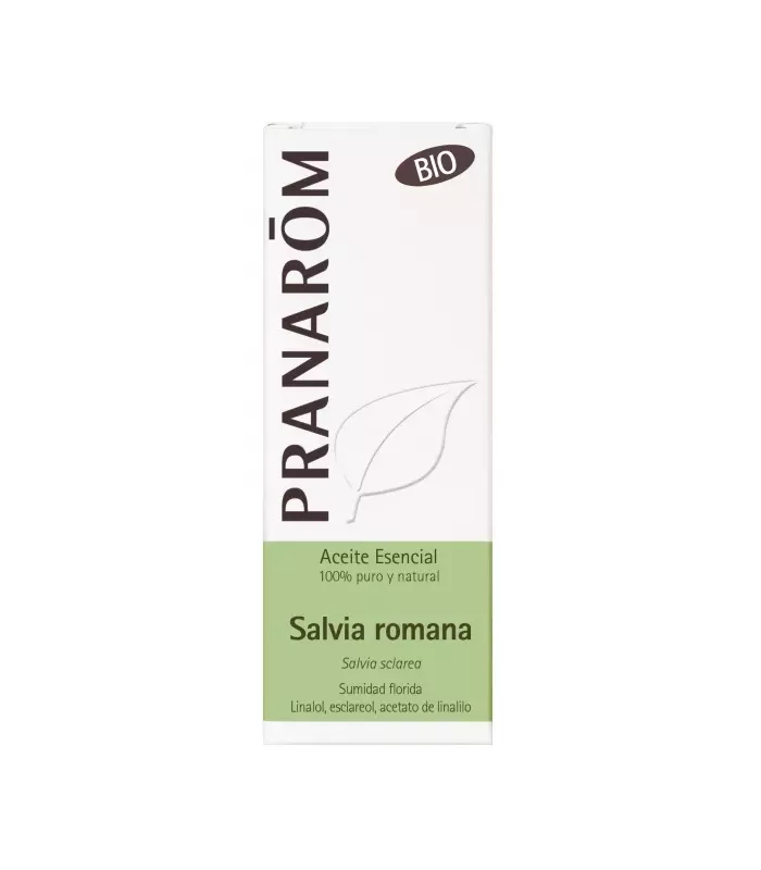 Imagen de salvia