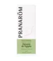GERANIO DE EGIPTO 10ML ACEITES ESENCIALES NATURALES
