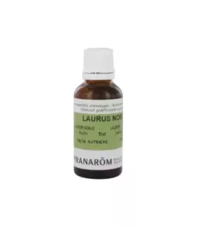 Imagen de hojas de laurel