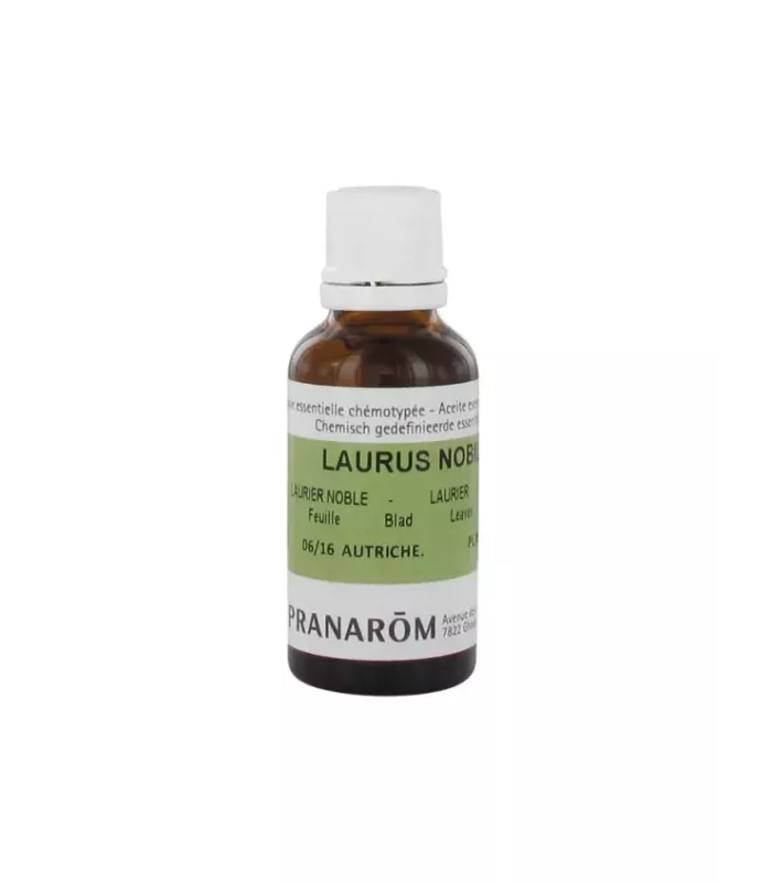 Imagen de hojas de laurel