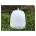 VELA SALVIA
