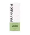 EUCALIPTO MENTOLADO 10 ML ACEITES ESENCIALES