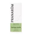 ESPLIEGO MACHO 10 ML ACEITES ESENCIALES NATURALES