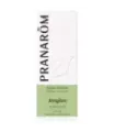 JENGIBRE 5ML ACEITES ESENCIALES NATURALES