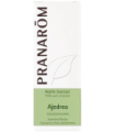 AJEDREA 30ML