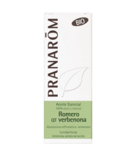 Imagen de romero con hojas verde grisáceas y flores blancas y azules