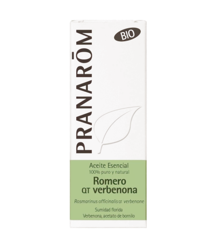 Imagen de romero con hojas verde grisáceas y flores blancas y azules
