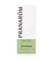 RAVINTSARA 10 ML ACEITES ESENCIALES NATURALES
