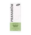 GAULTERIA OLOROSA BIO 10 ML ACEITE ESENCIALES
