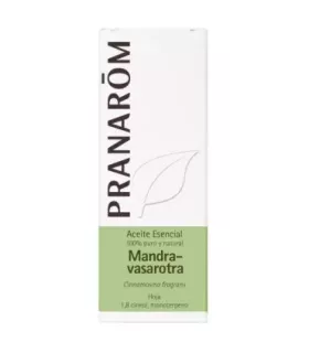 Imagen de hojas de Mandravasarotra