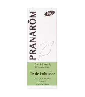Imagen de aceite esencial de Té de Labrador