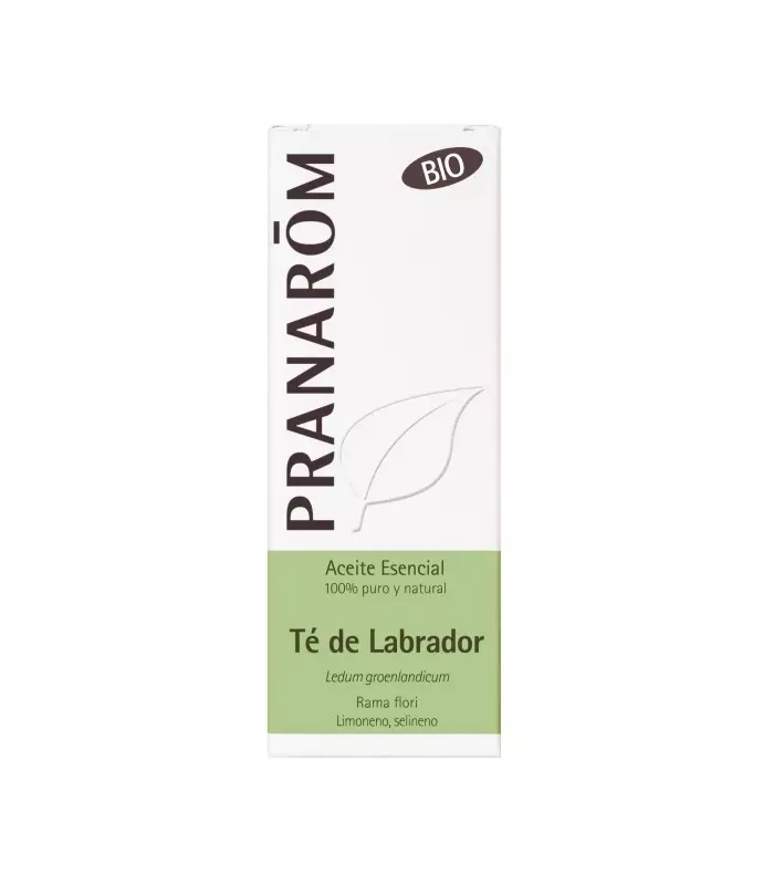 Imagen de aceite esencial de Té de Labrador