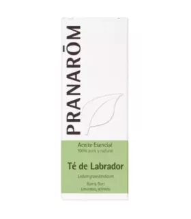 Imagen de aceite esencial de Té de Labrador