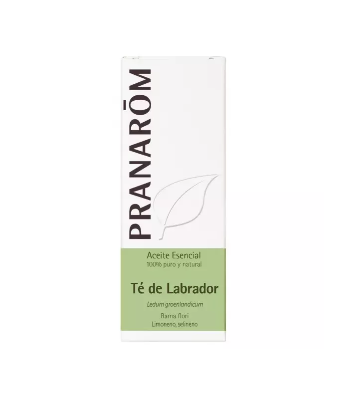 Imagen de aceite esencial de Té de Labrador