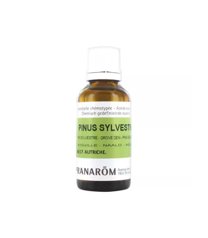 Imagen de agujas de pino silvestre
