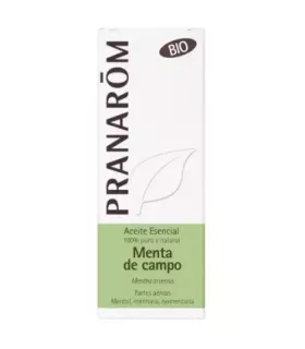 Imagen de la planta de Mentha arvensis