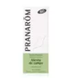 MENTA DE CAMPO BIO 10 ML ACEITES ESENCIALES