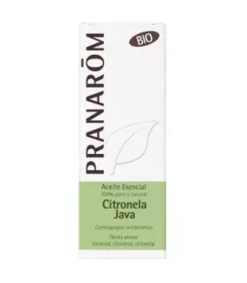 Imagen de citronela de Java