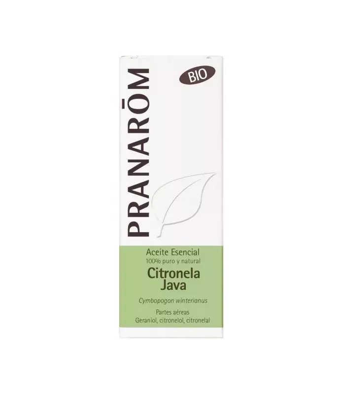 Imagen de citronela de Java