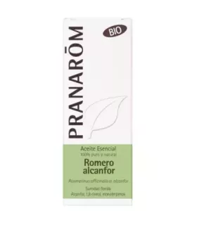 Imagen de romero (Rosmarinus officinalis) con flores
