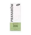 ROMERO ALCANFOR BIO 10 ML ACEITES ESENCIALES