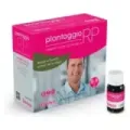 PLANTAGGIO RP