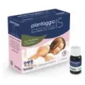 PLANTAGGIO IS