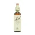 FLOR DE BACH 3 HAYA