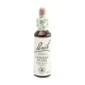 FLOR DE BACH 6 CERASIFERA