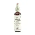 FLOR DE BACH 9 CLEMATIDE