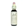 FLOR DE BACH 10 MANZANO