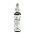 FLOR DE BACH 13 AULAGA