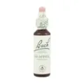 FLOR DE BACH 14 BREZO