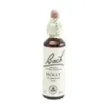 FLOR DE BACH 15 ACEBO