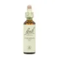 FLOR DE BACH 17 HOJARAZO