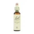 FLOR DE BACH 18 IMPACIENCIA