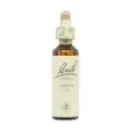 FLOR DE BACH 19 ALERCE