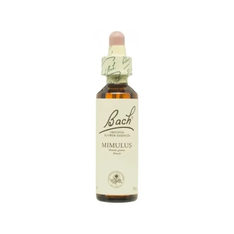 FLOR DE BACH 20 MIMULO