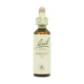 FLOR DE BACH 20 MIMULO