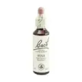 FLOR DE BACH 24 PINO