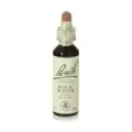 FLOR DE BACH 27 AGUA ROCA