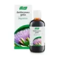BOLDOCYNARA GOTAS ML 100